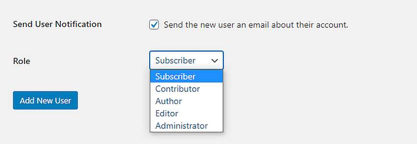 User roles in WordPress