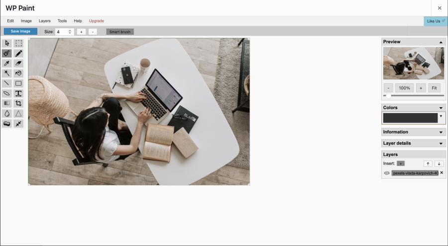 Using WP Paint plugin
